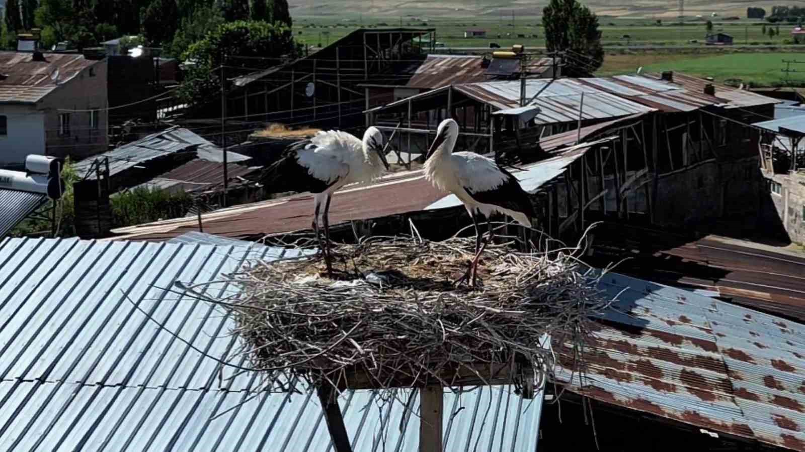 Leylekler G&uuml;zelova Mahallesi&rsquo;ni mesken tuttu
