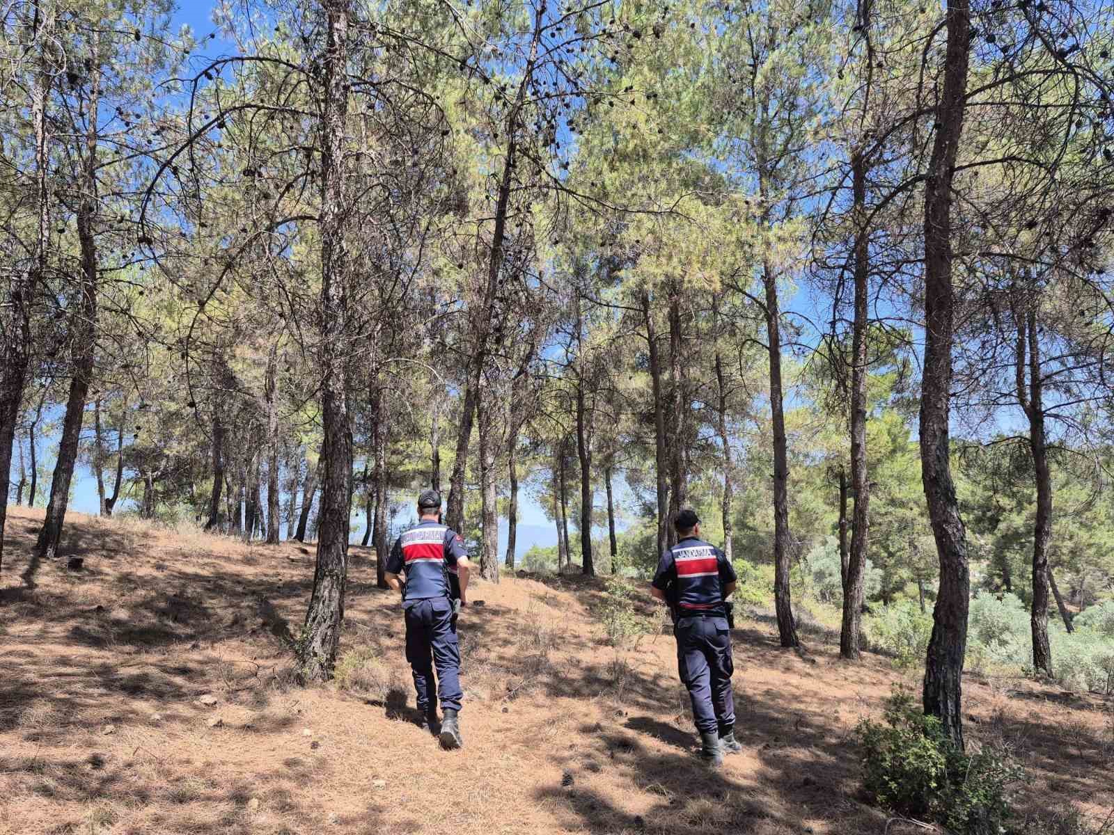 Jandarmanın ‘orman’ nöbeti aralıksız devam ediyor