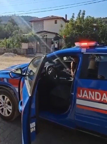 Muğla’da kurumlar yaz aylarında doğayı korumak için teyakkuzda