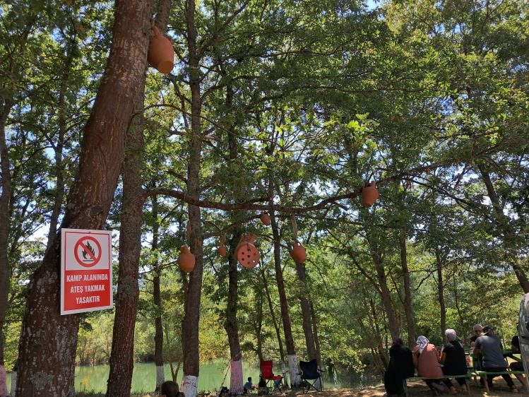 Ağa&ccedil;lar, &ccedil;aput yerine &ccedil;&ouml;mlekle s&uuml;slendi
