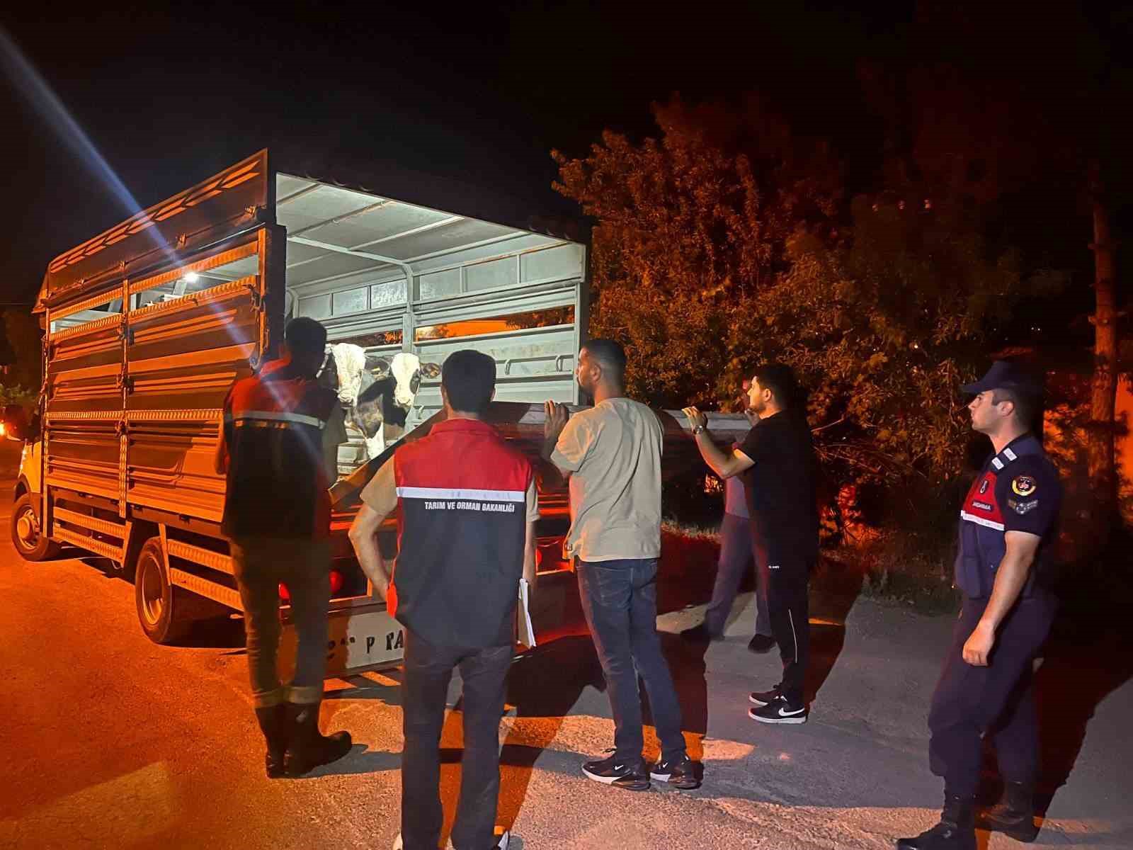 Şap hastalığı tedbirlerine uymadı 105 bin lira para cezası kesildi