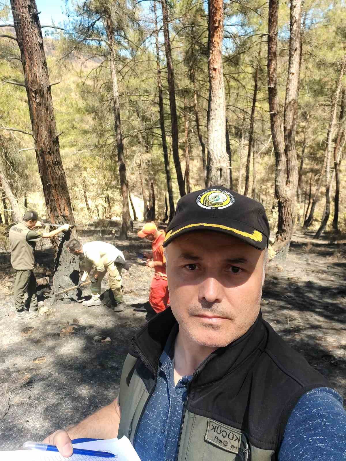 Ormanlar yeniden doğuyor: Geyve&rsquo;de fidan mesaisi başladı
