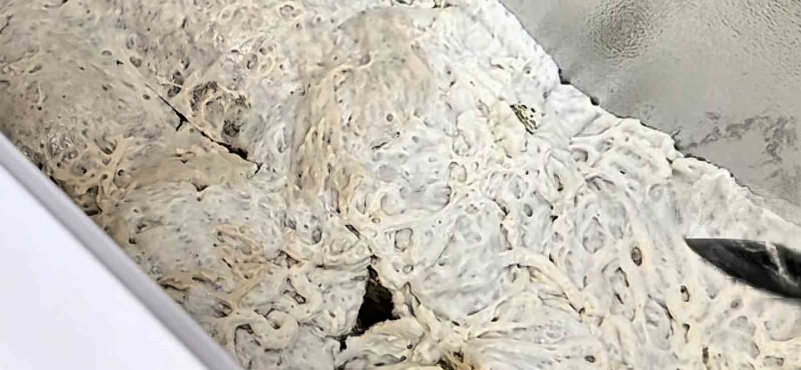 İşkembe görünümlü zula ekipleri şaşırttı