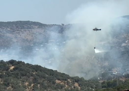 Milas’ta dumanlar yükseldi, müdahale sürüyor