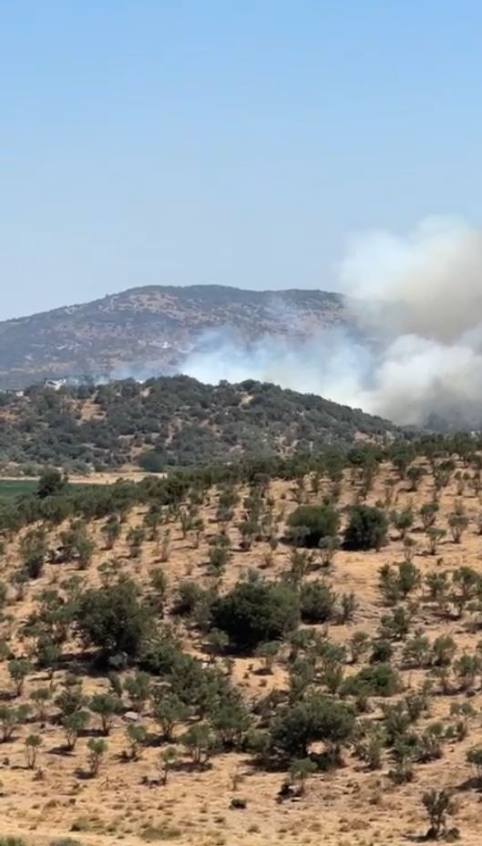 Milas&rsquo;ta dumanlar y&uuml;kseldi, m&uuml;dahale s&uuml;r&uuml;yor
