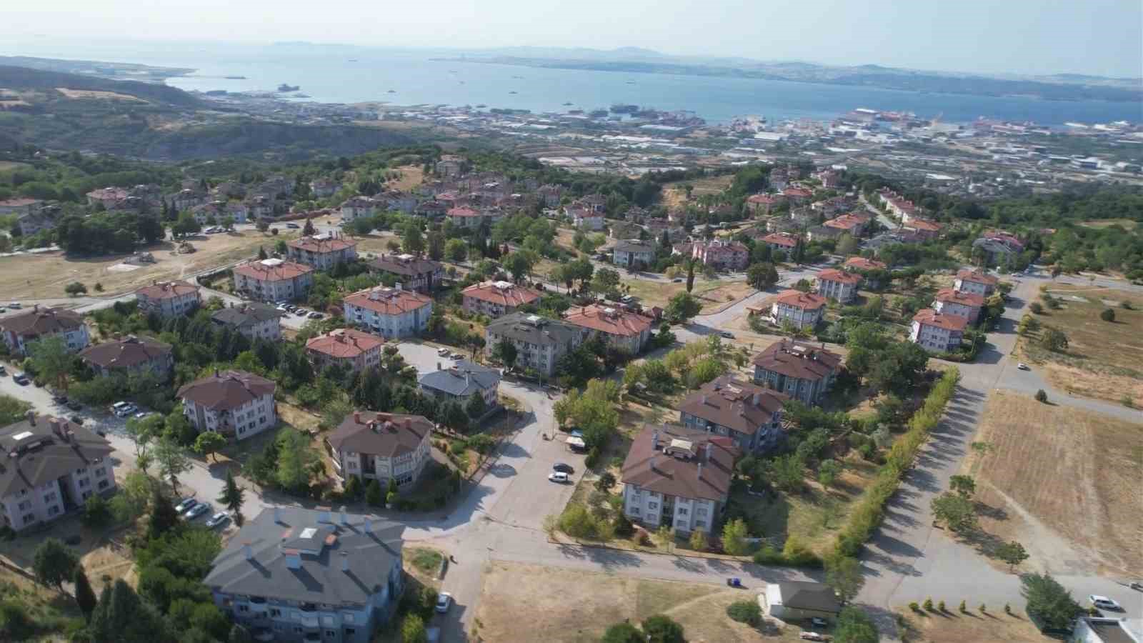 Yalova’da tepki çeken hayvan besleme yasağı