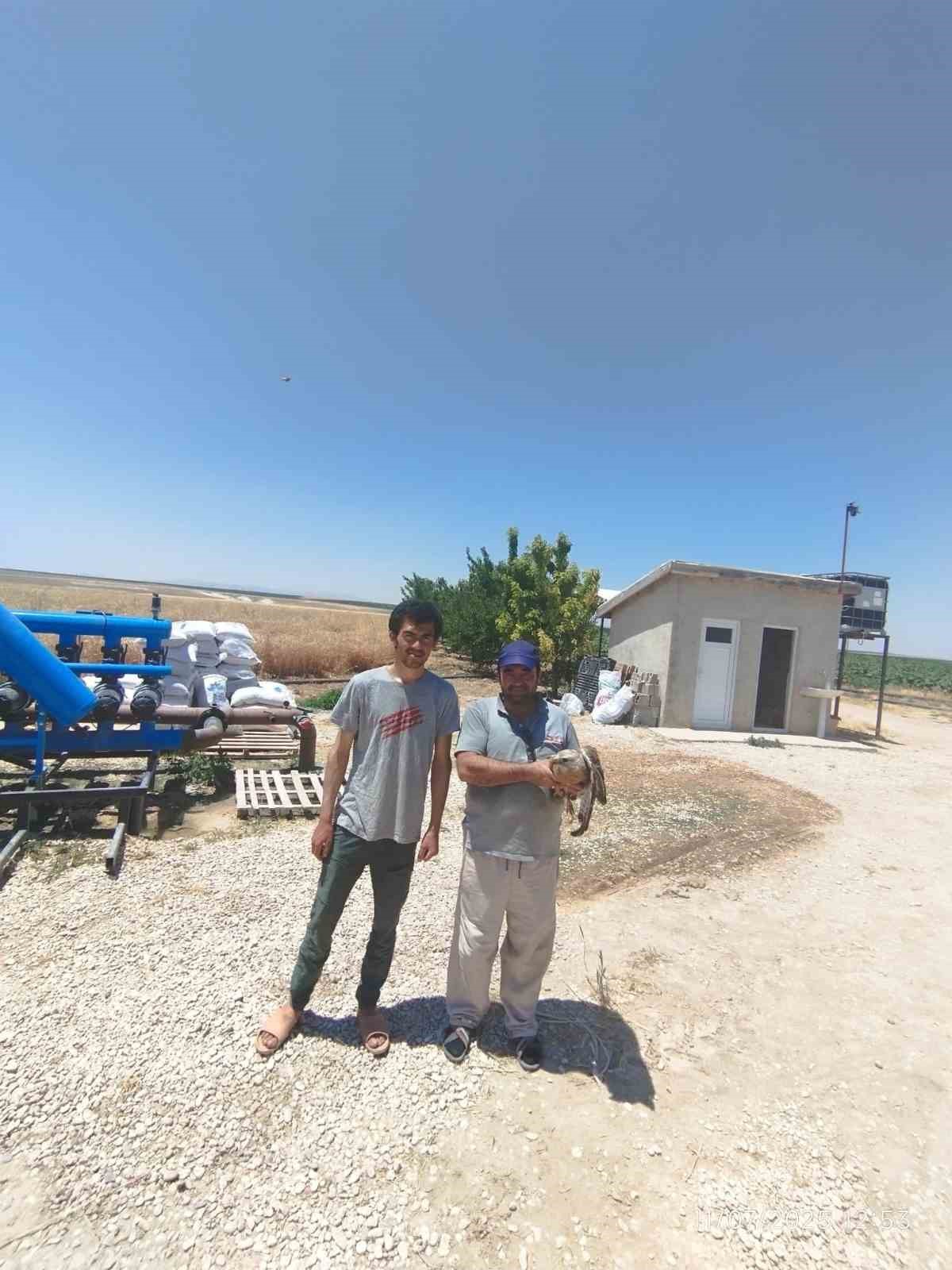 Karapınar&rsquo;da yaralı şahin koruma altına alındı
