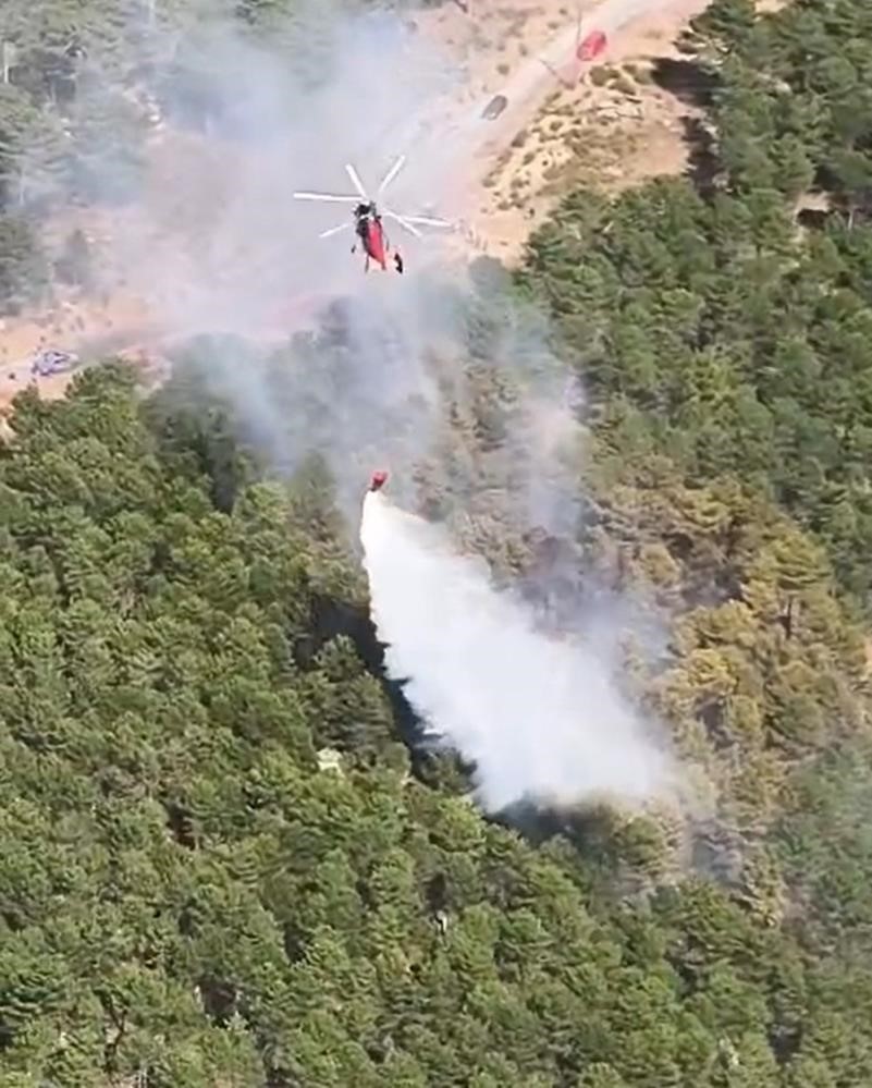 Koyun, ke&ccedil;i ve &ccedil;obanların kıymeti bilinmedi, &uuml;lkenin en b&uuml;y&uuml;k sorunu yangınlar oldu
