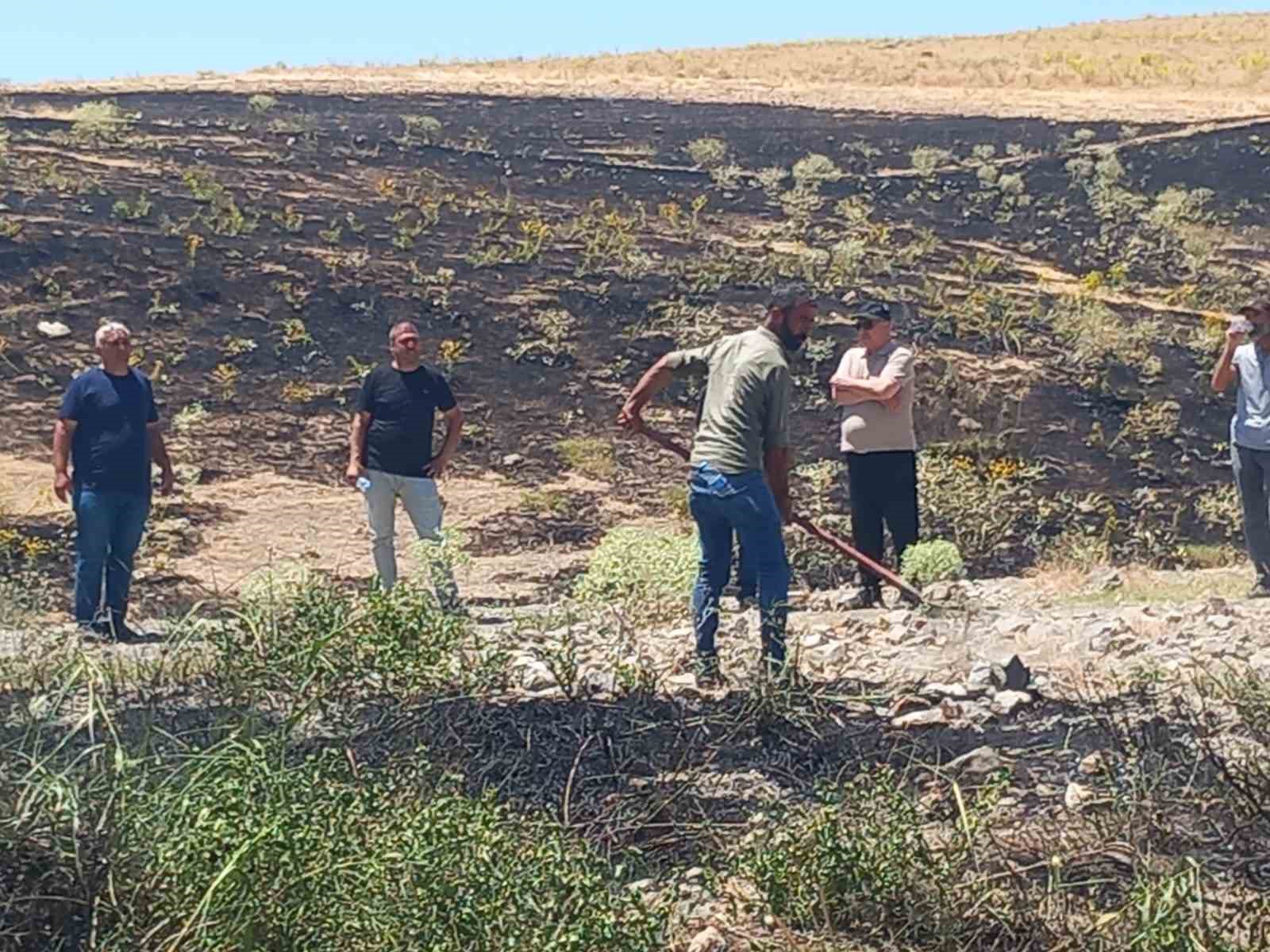 Tunceli&rsquo;de ekili alanda &ccedil;ıkan yangın, zamanında m&uuml;dahaleyle s&ouml;nd&uuml;r&uuml;ld&uuml;
