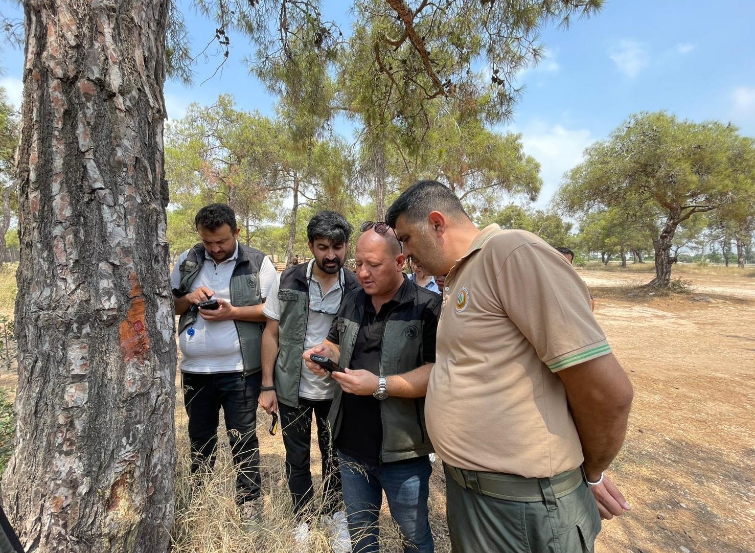 Erdemli Orman İşletmesinde &rsquo;Yenilik&ccedil;i Barkod Sistemi Eğitimi&rsquo; verildi
