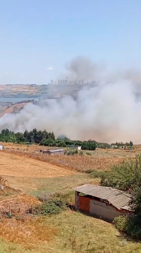 B&uuml;y&uuml;k&ccedil;ekmece&rsquo;de tarlada yangın: Alevler evlere sı&ccedil;ramadan s&ouml;nd&uuml;r&uuml;ld&uuml;
