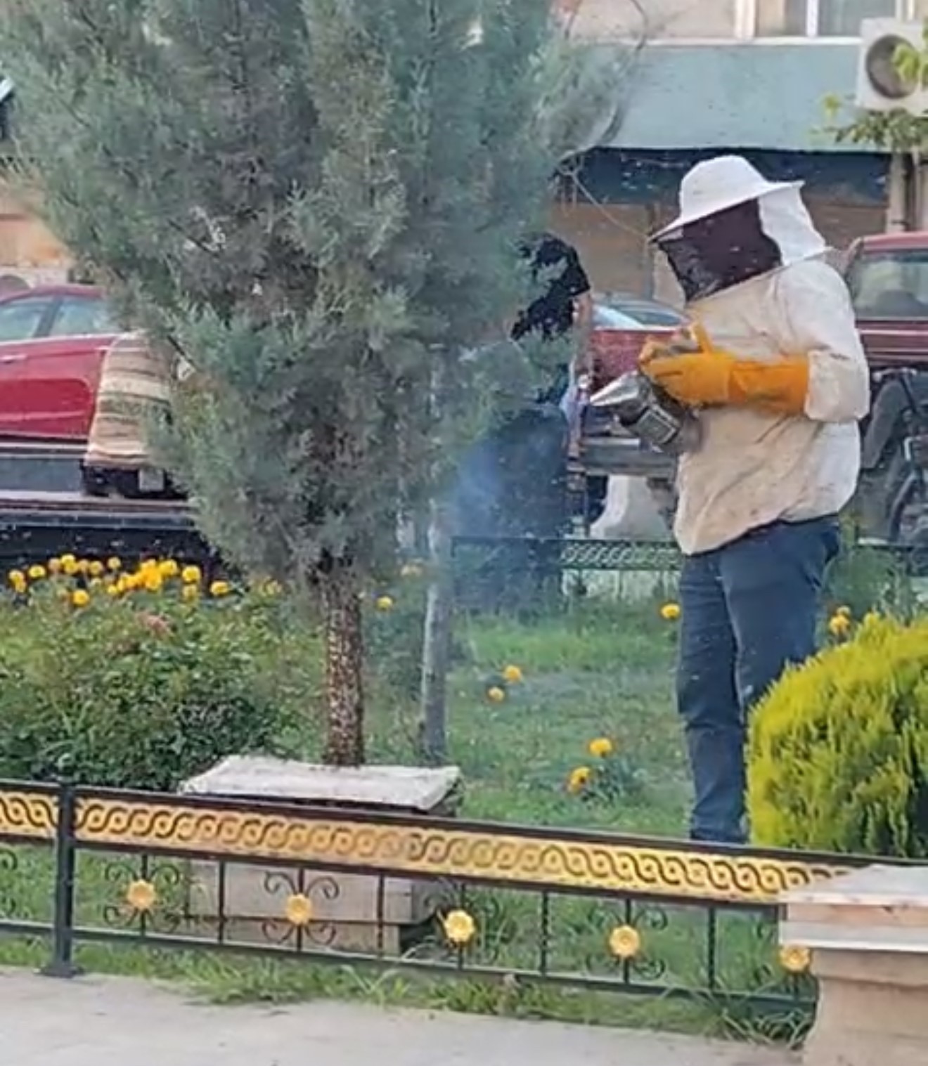 Iğdır’da kraliçe arının peşinden gelen binlerce arı şehir merkezini istila etti