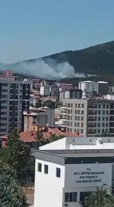 Pendik&rsquo;te ormanlık alanda &ccedil;ıkan yangına m&uuml;dahale ediliyor
