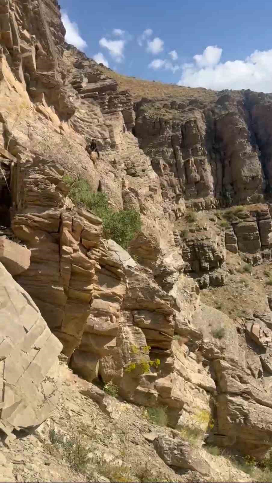 Dağda mahsur kalan koyunlar ekipler tarafından kurtarıldı
