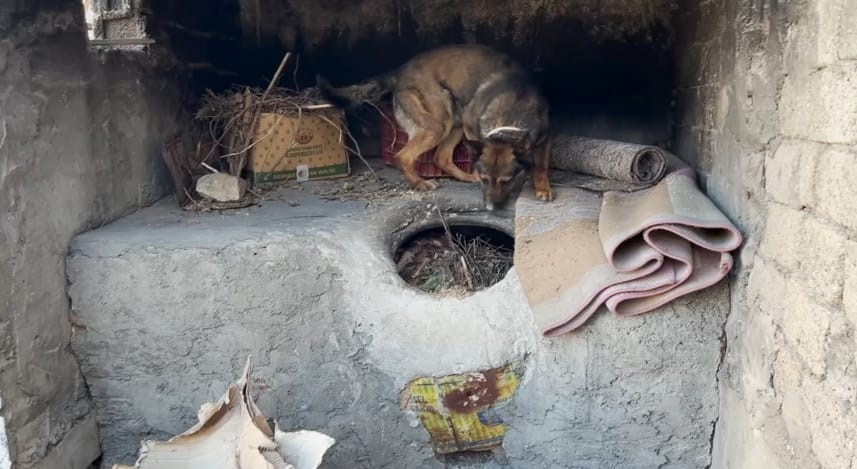 Batman’da ekmek tandırında uyuşturucu ele geçirildi