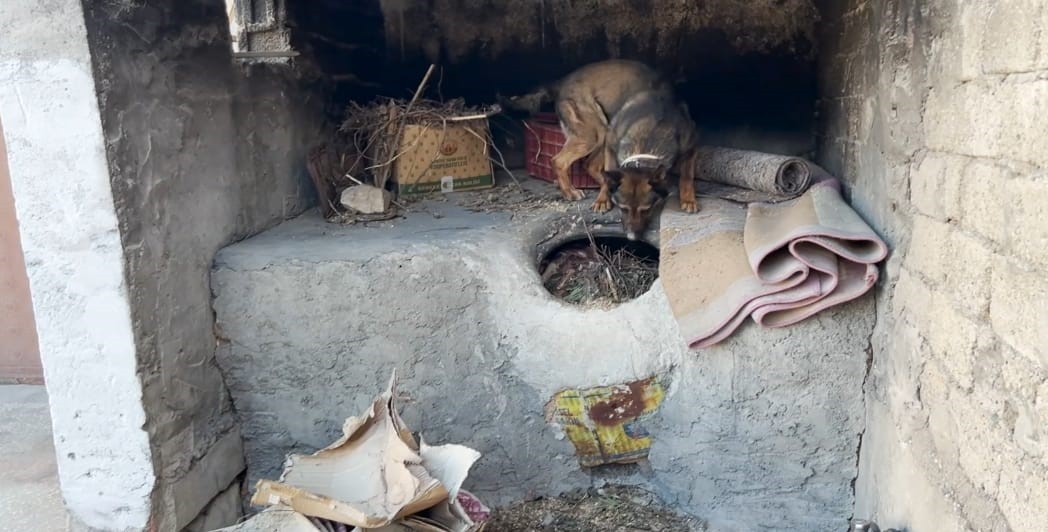 Batman&rsquo;da ekmek tandırında uyuşturucu ele ge&ccedil;irildi
