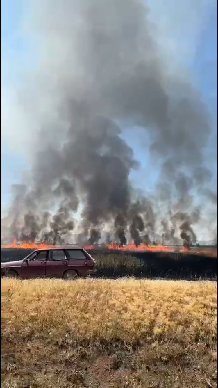 Traktörün kepçesinin elektrik tellerine temas etmesi ile çıkan yangında 50 dönüm arazi yandı