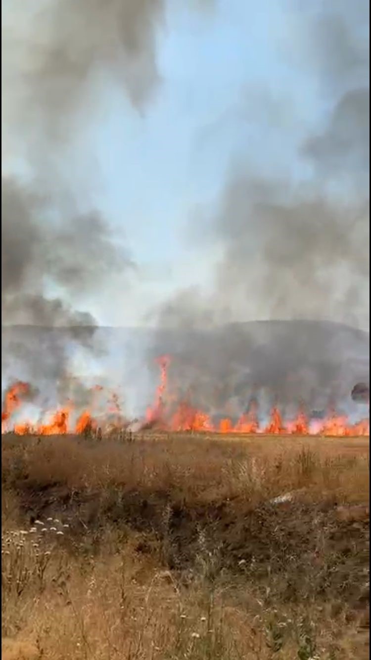 Trakt&ouml;r&uuml;n kep&ccedil;esinin elektrik tellerine temas etmesi ile &ccedil;ıkan yangında 50 d&ouml;n&uuml;m arazi yandı
