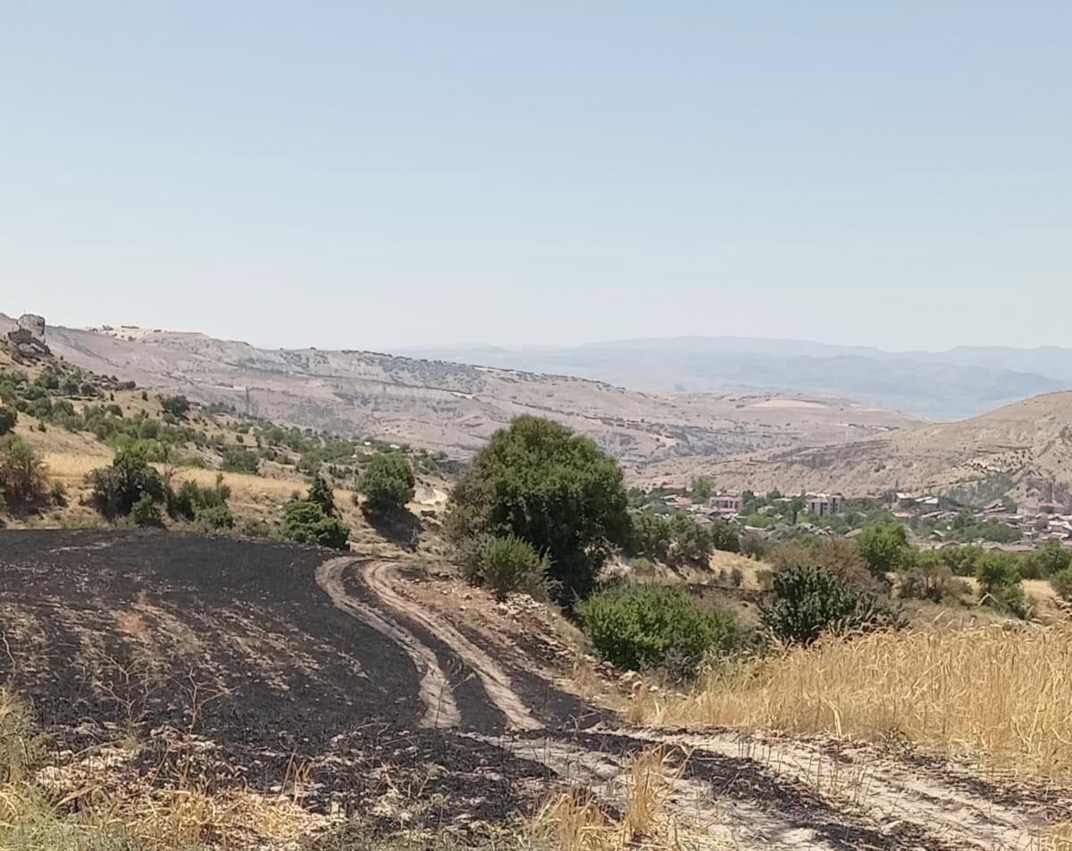 Tunceli&rsquo;de 34 d&ouml;n&uuml;m arpa yangında k&uuml;l oldu
