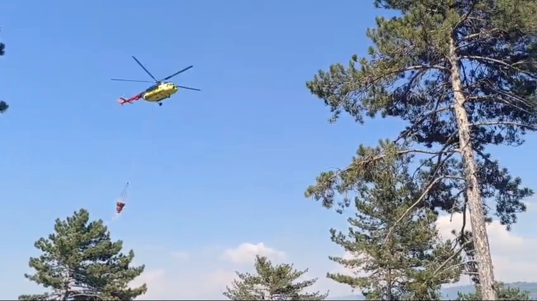 Kütahya’da gençleştirme sahasında çıkan orman yangını söndürüldü