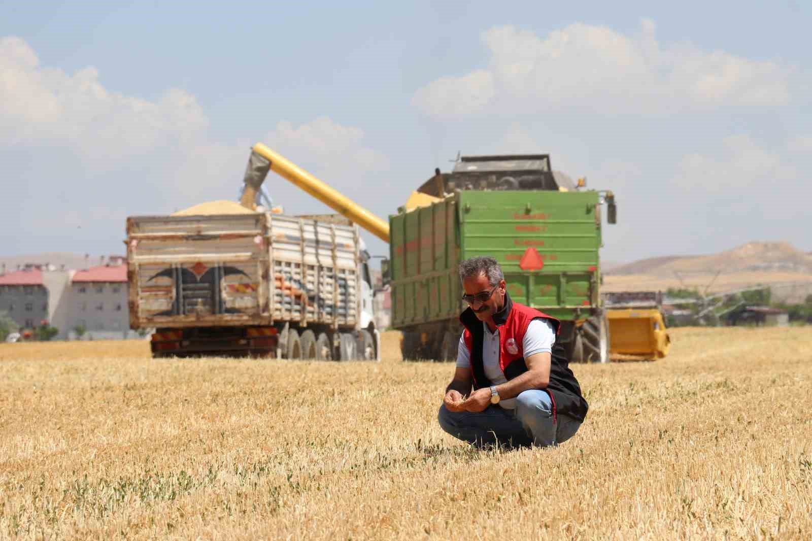 Kuraklık Vanlı çiftçileri vurdu