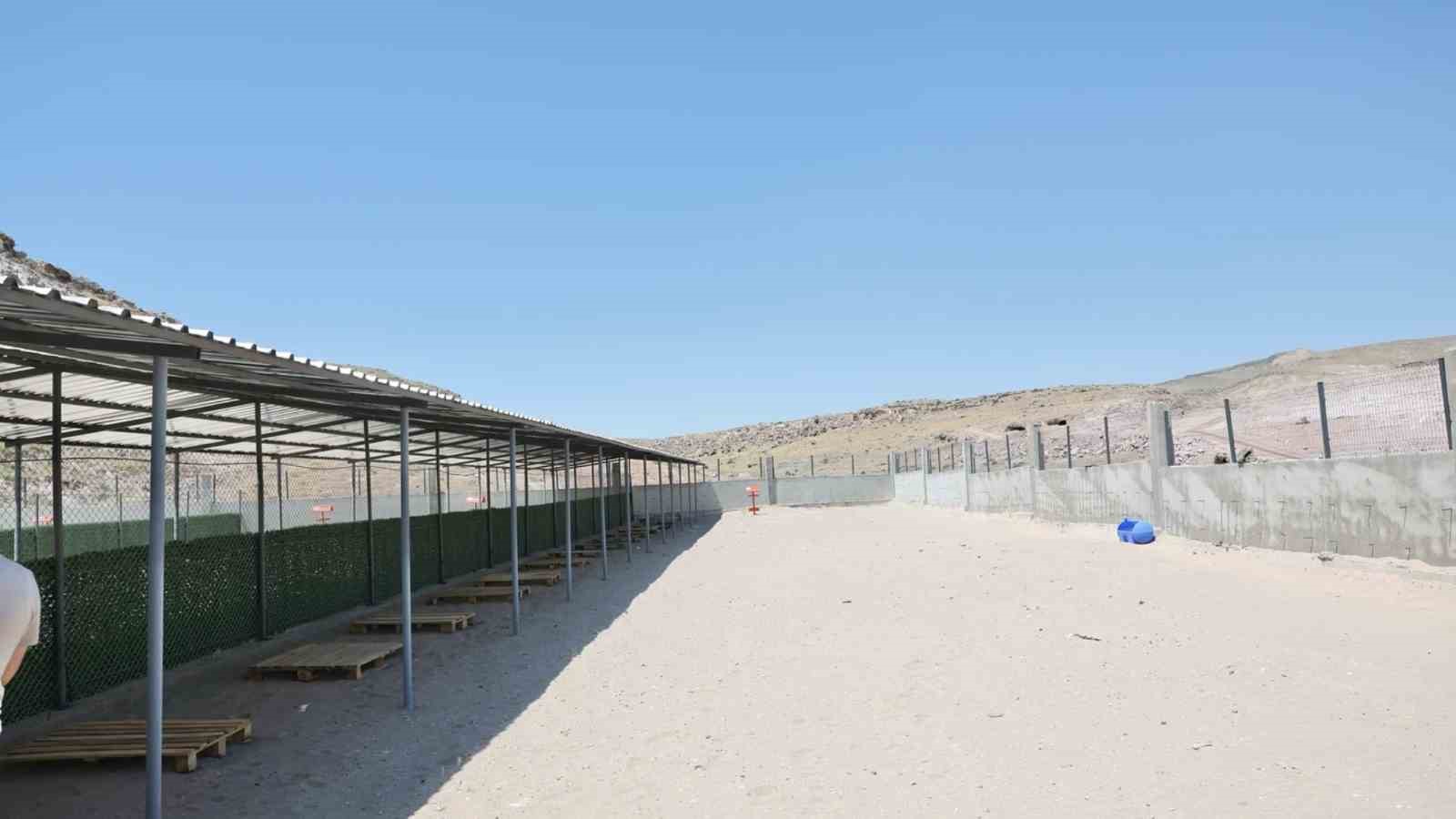 Başkan &Ccedil;olakbayrakdar: "Hayvan Bakımevi ve Rehabilitasyon Merkezi&rsquo;nde en iyisini biz yapıyoruz"
