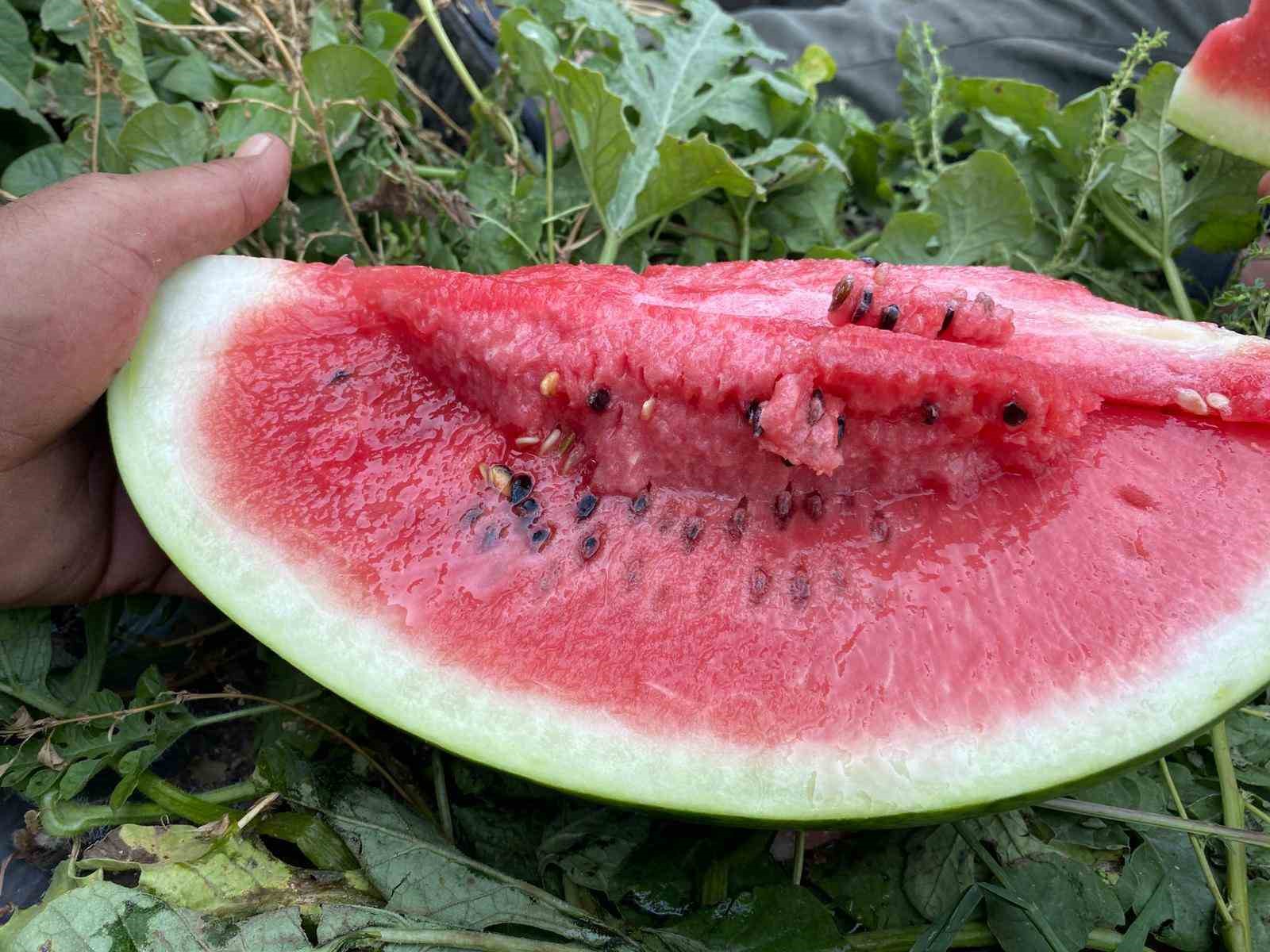 Başkandan &ccedil;ift&ccedil;iye destek, vatandaşa serinleten ikram
