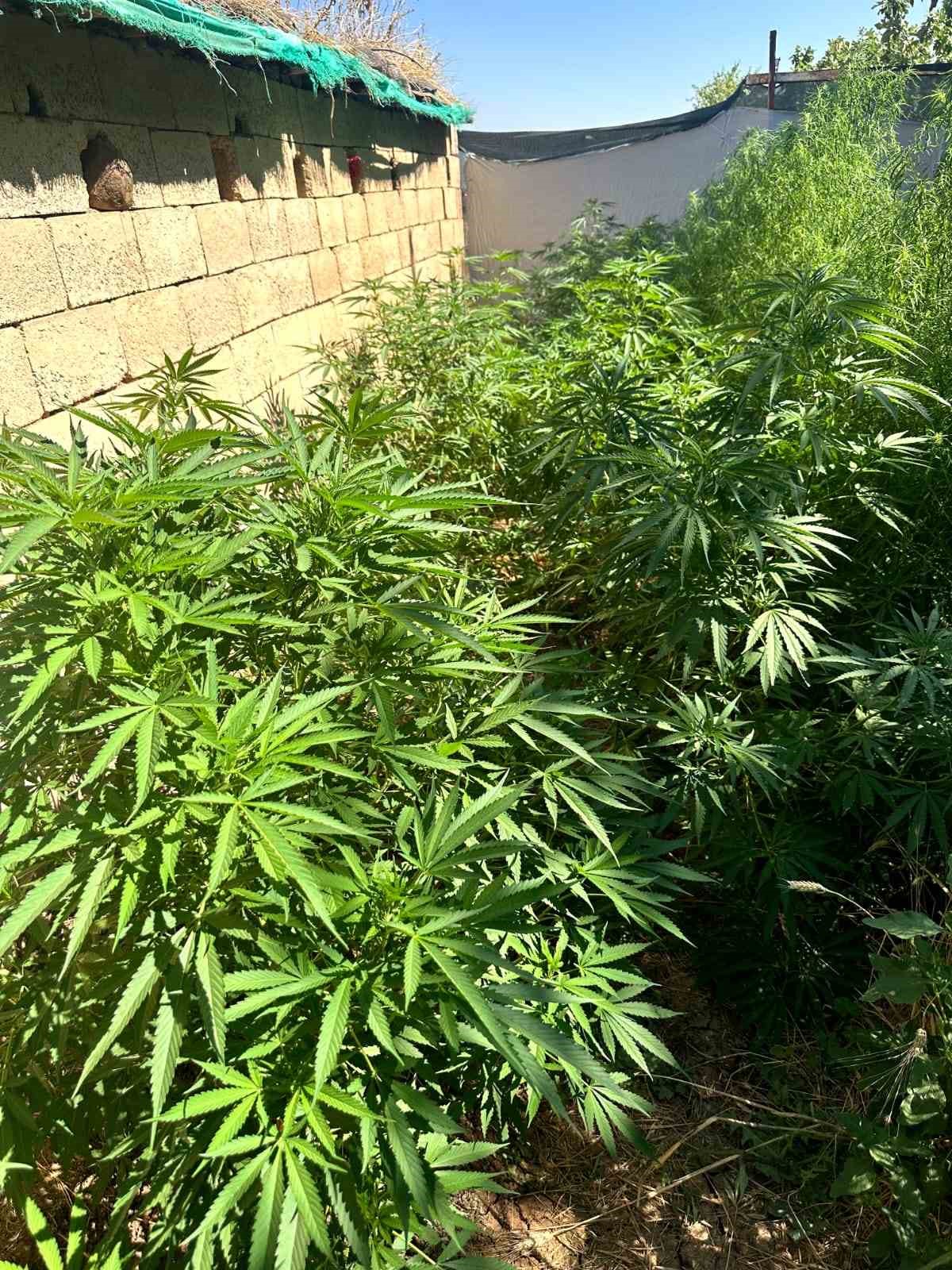 Şanlıurfa&rsquo;da jandarmadan uyuşturucu operasyonu
