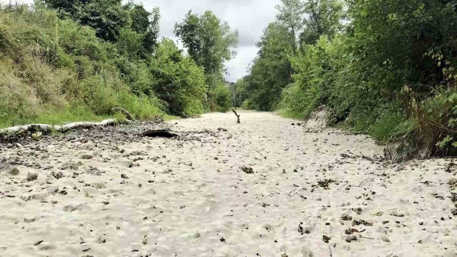 Sakarya’da korkutan manzara: Doğaseverlerin gözdesi kurudu