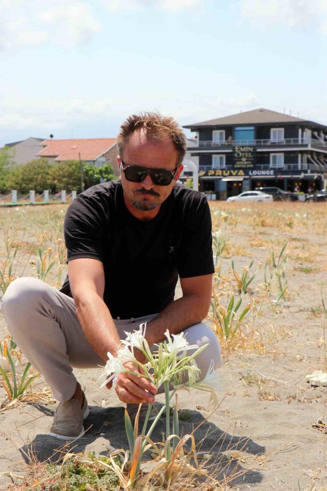 G&uuml;zelliğiyle b&uuml;y&uuml;l&uuml;yor, koparması c&uuml;zdanı yakıyor
