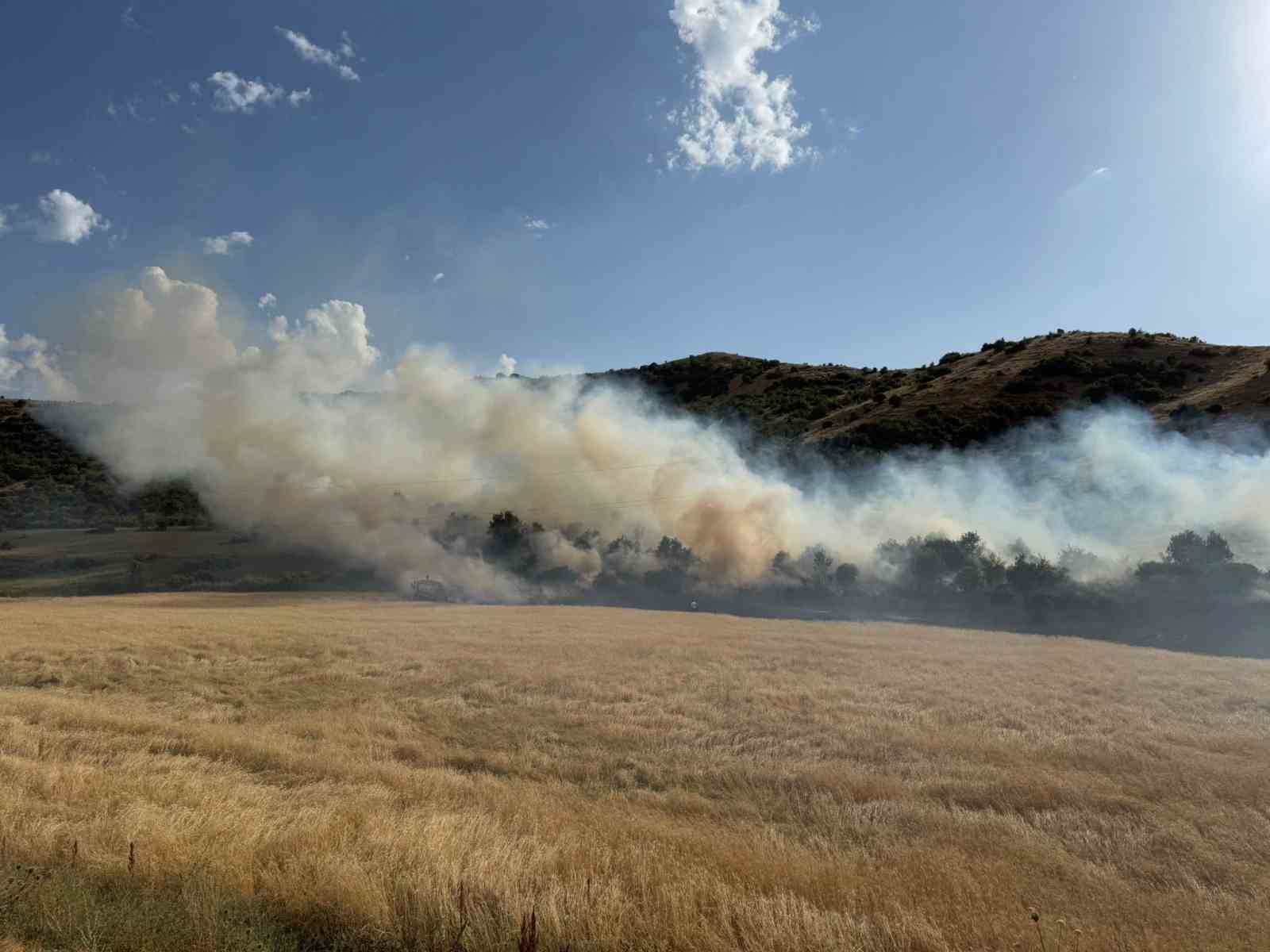 Bitlis’te buğday tarlasında çıkan yangın büyümeden söndürüldü