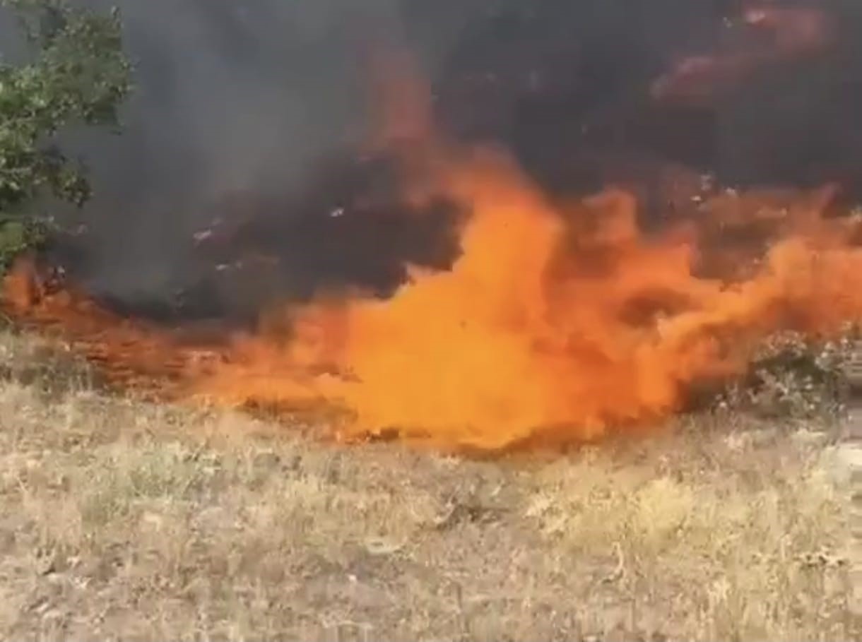 Tunceli&rsquo;de otluk ve ormanlık alanda yangın
