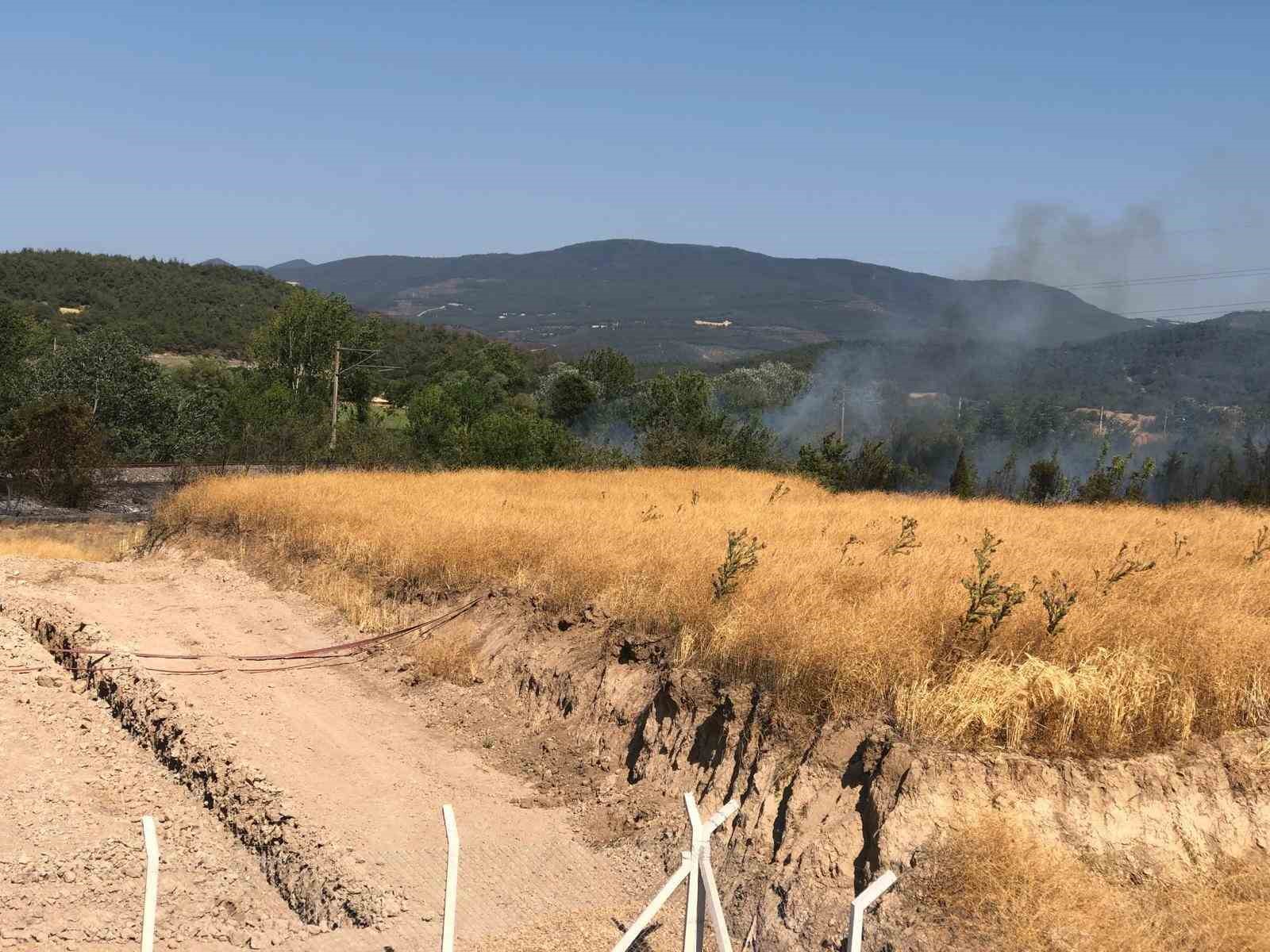 Bilecik&rsquo;te anız yangını b&uuml;y&uuml;meden s&ouml;nd&uuml;r&uuml;ld&uuml;
