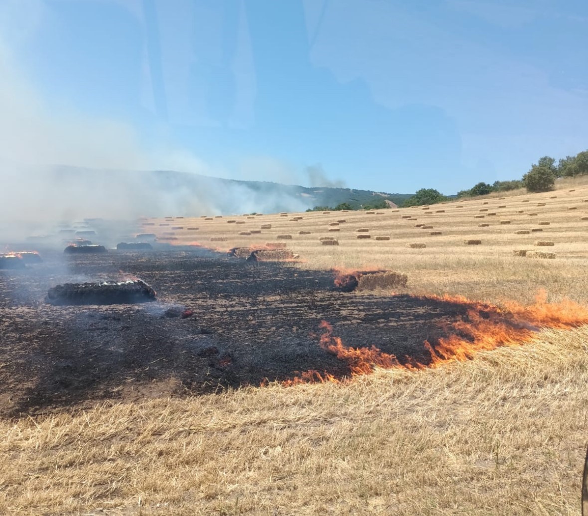Manyas’ta anız ve makilik alanda çıkan yangın kontrol altına alındı