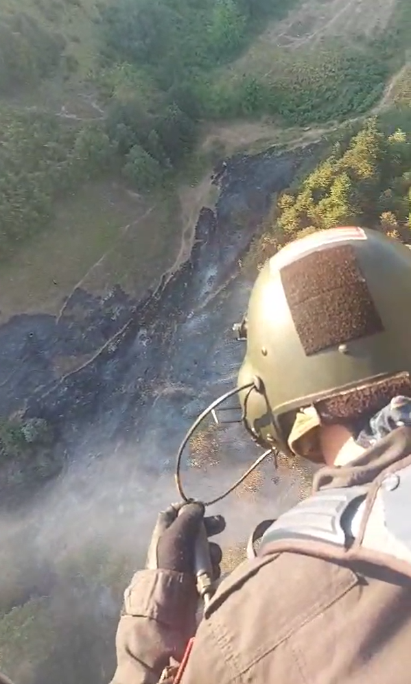 Yalova&rsquo;da orman yangını
