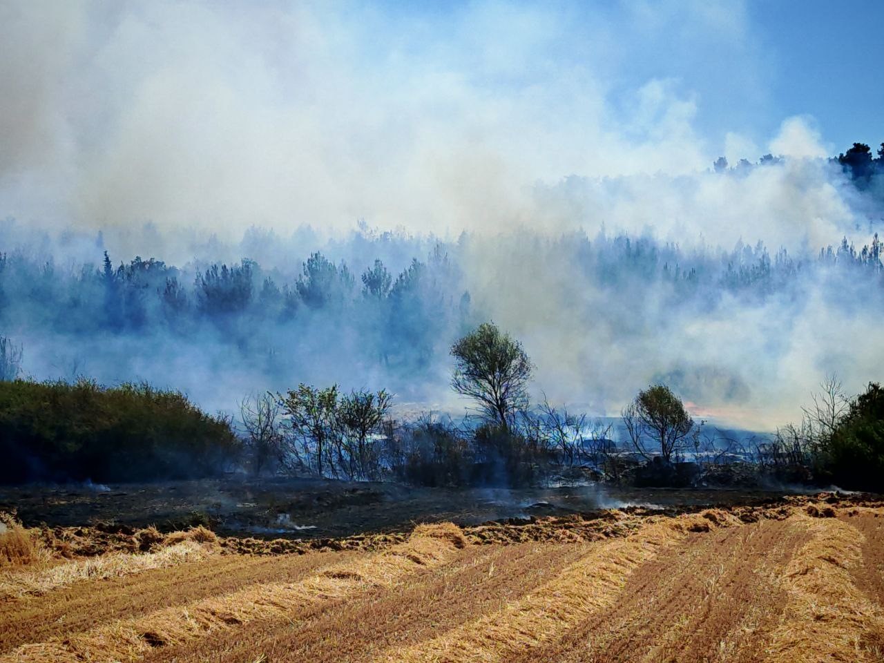 Edirne’deki orman ve anız yangını kontrol altına alındı
