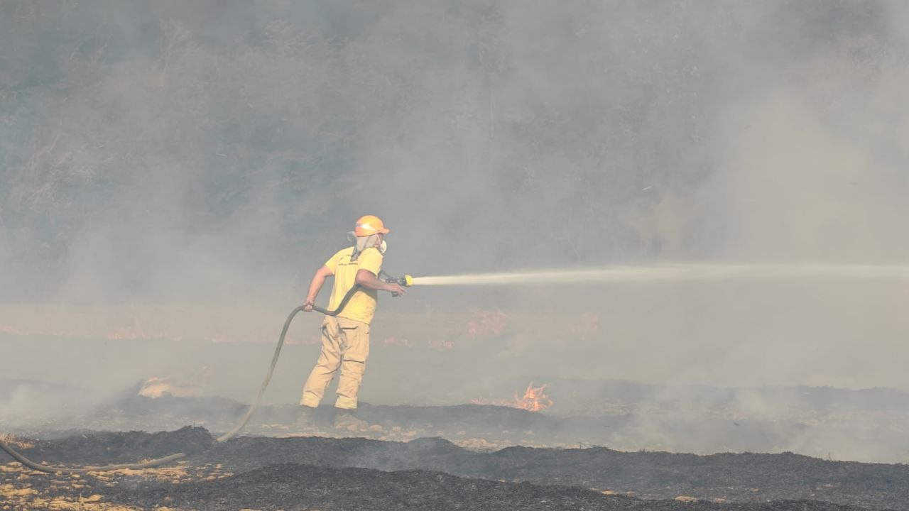 Edirne&rsquo;deki orman ve anız yangını kontrol altına alındı
