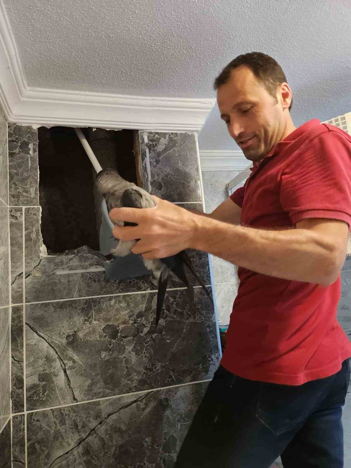 Havalandırma boşluğuna düşen kargayı vatandaş kurtardı