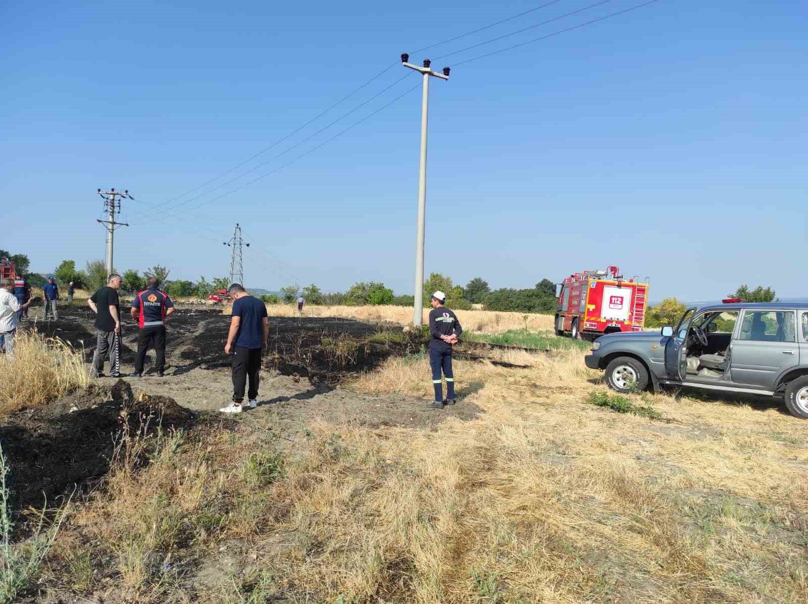 Elektrik akımına kapılan kuş yangına neden oldu
