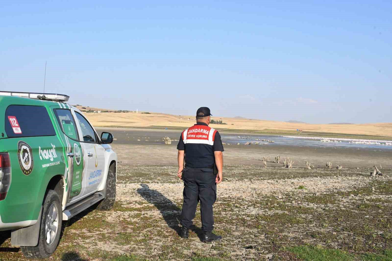 Binlerce göçmen kuş Yozgat’taki barajı adeta kuş cennetine çevirdi
