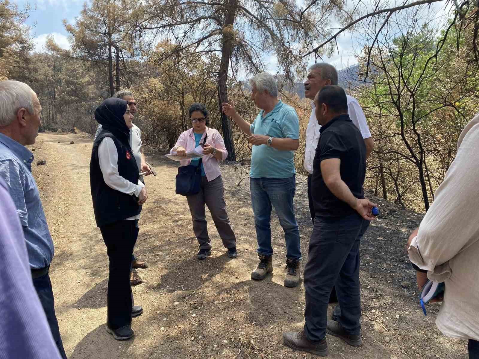 K&ouml;pr&uuml;cek k&ouml;y&uuml;nde sulama g&ouml;ledi i&ccedil;in ilk adım atıldı
