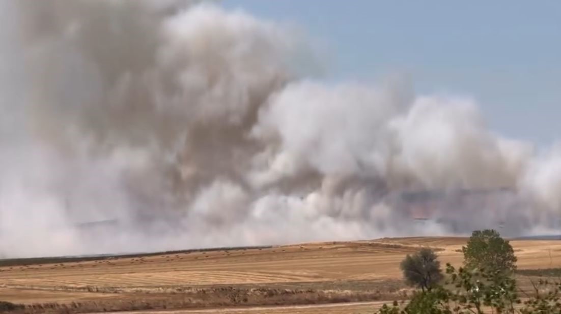 Tekirdağ’da çıkan anız yangını kontrol altına alındı