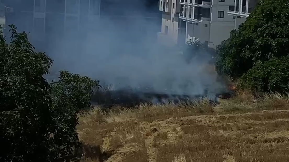 Tekirdağ&rsquo;da &ccedil;ıkan anız yangını kontrol altına alındı
