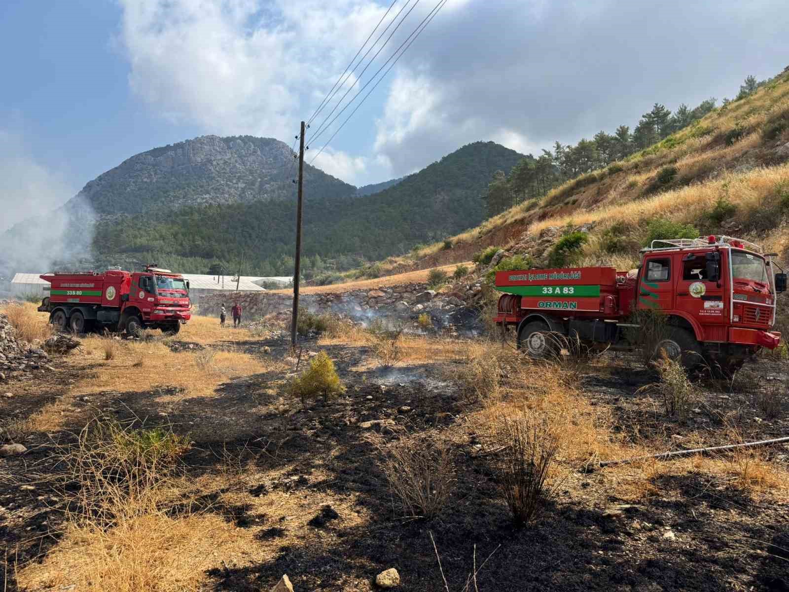 Yangın ormana sı&ccedil;ramadan s&ouml;nd&uuml;r&uuml;ld&uuml;
