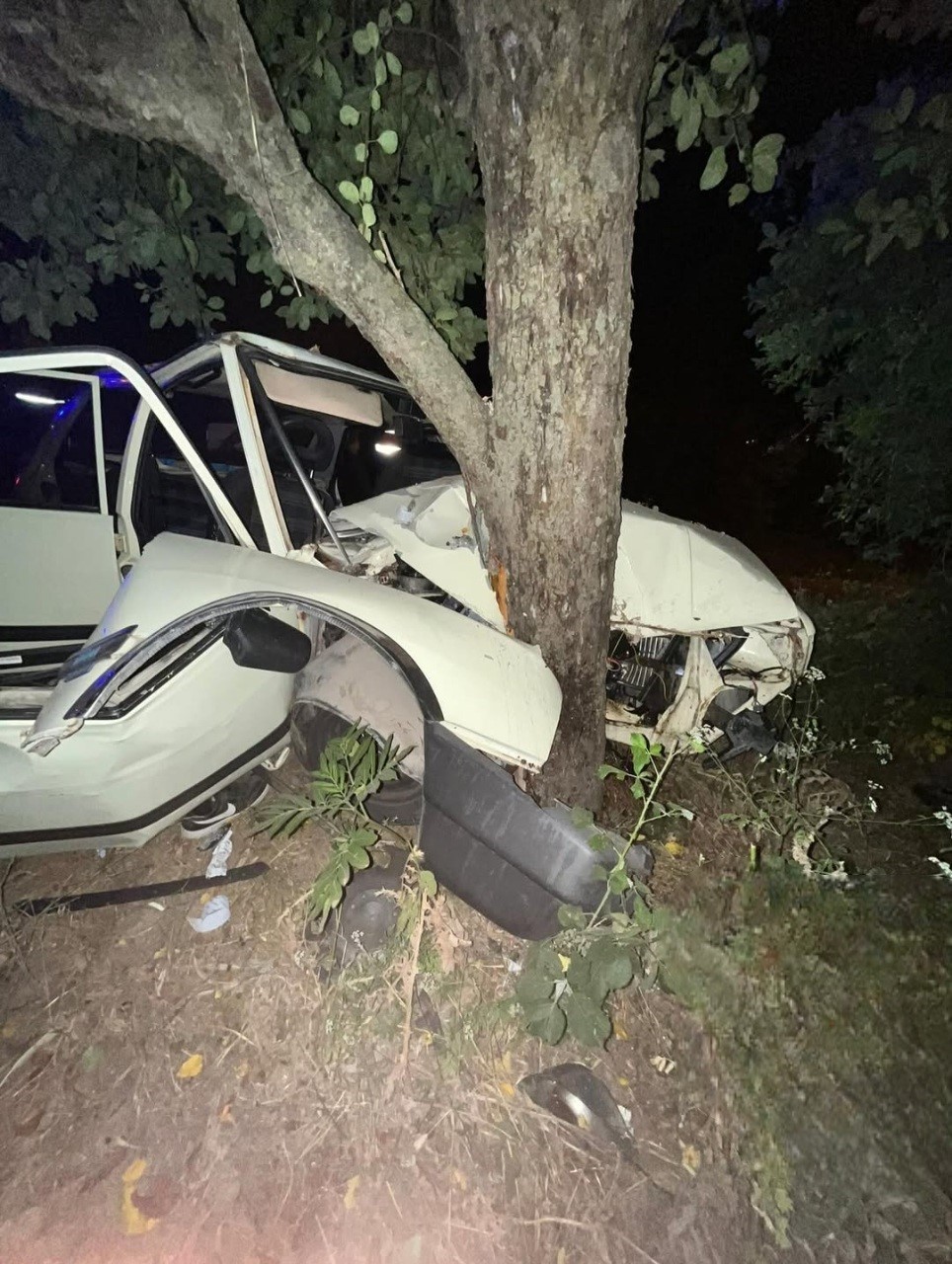 Sinop&rsquo;ta virajı alamayan otomobil ağaca &ccedil;arptı: 2 yaralı
