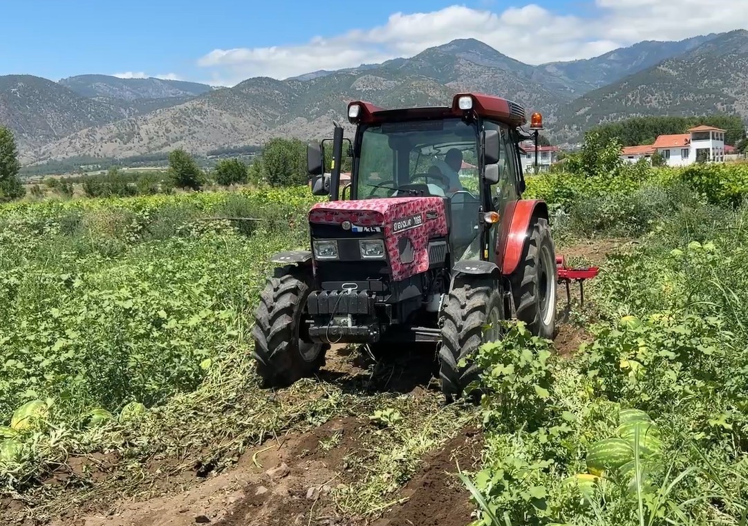 Tokat’ta karpuzun tarladaki dönüm fiyatı 10 bin liraya geriledi