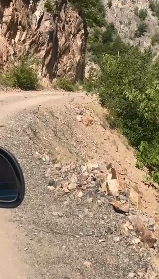 Artvin’de yaban hayatı cep telefonu kamerasına yansıdı