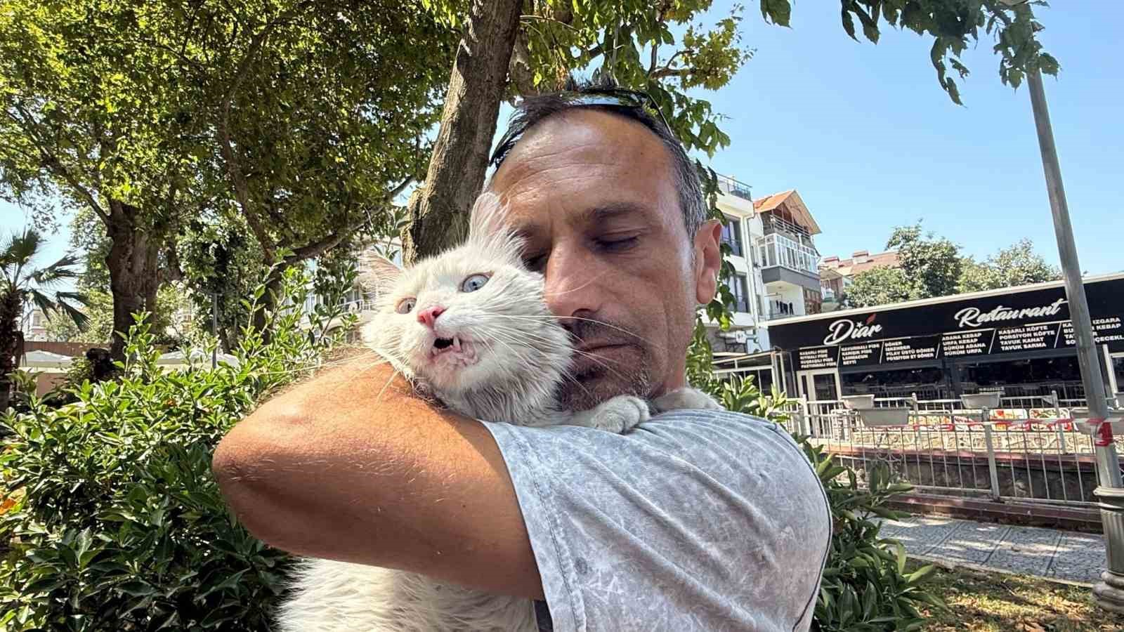 Kayıp kedisine günler sonra kavuştu, bu kez mutluluktan ağladı
