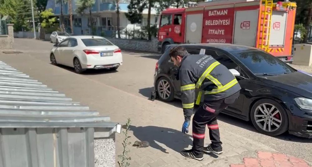 Batman’da tavan arasında sıkışan kedi kurtarıldı