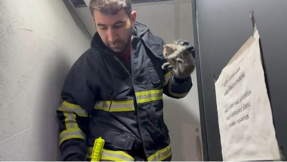 Batman&rsquo;da tavan arasında sıkışan kedi kurtarıldı
